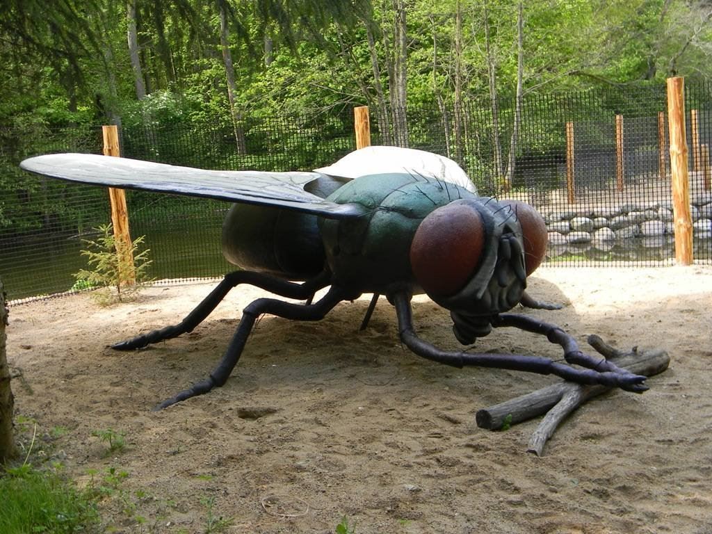 CREATOR: gd-jpeg v1.0 (using IJG JPEG v62), quality = 85