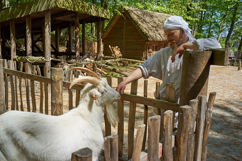 SKANSEN ARCHEOLOGICZNY – GRODZISKO W SOPOCIE