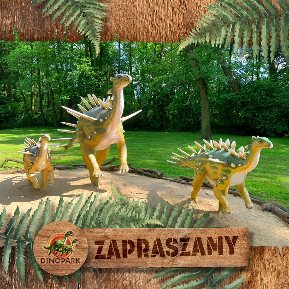 69662529_2962045500536814_4976825368926224384_o