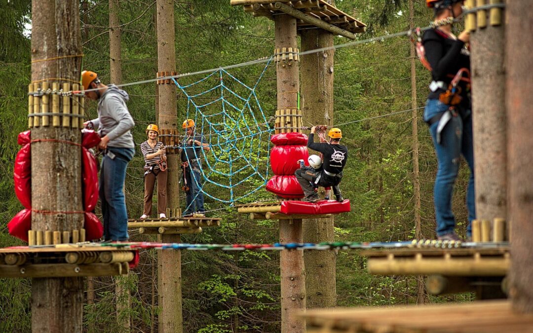 PARK LINOWY “GIBON” – POBIEROWO