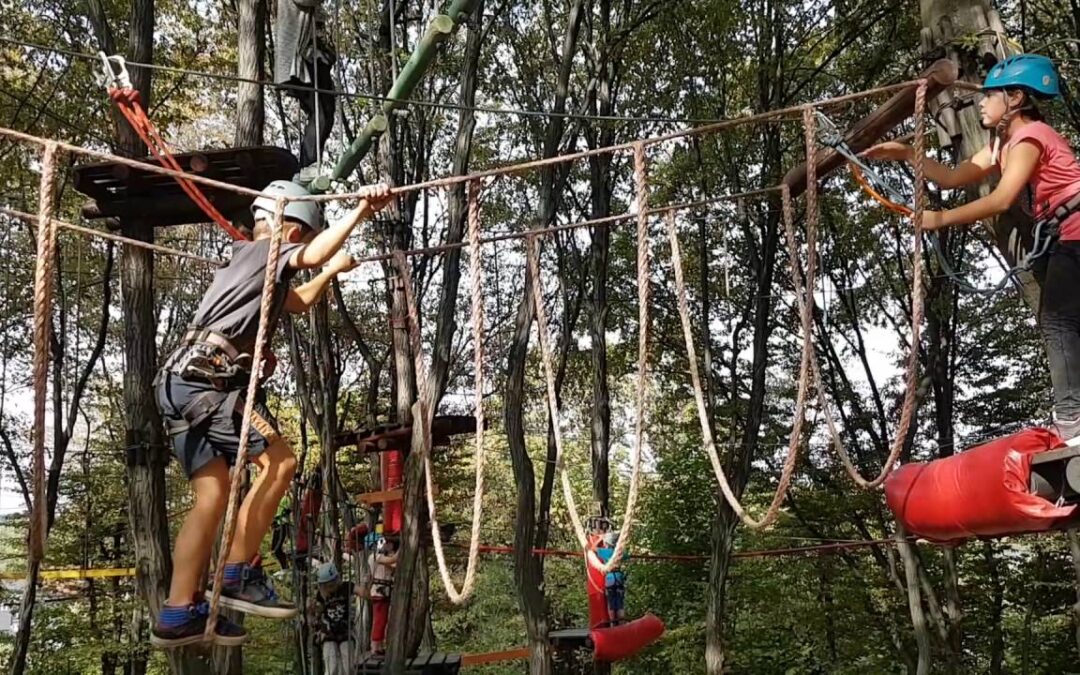 ŚCIEŻKA PRZYRODNICZA “OLSZYNKI” W KAMIENIU MAŁYM