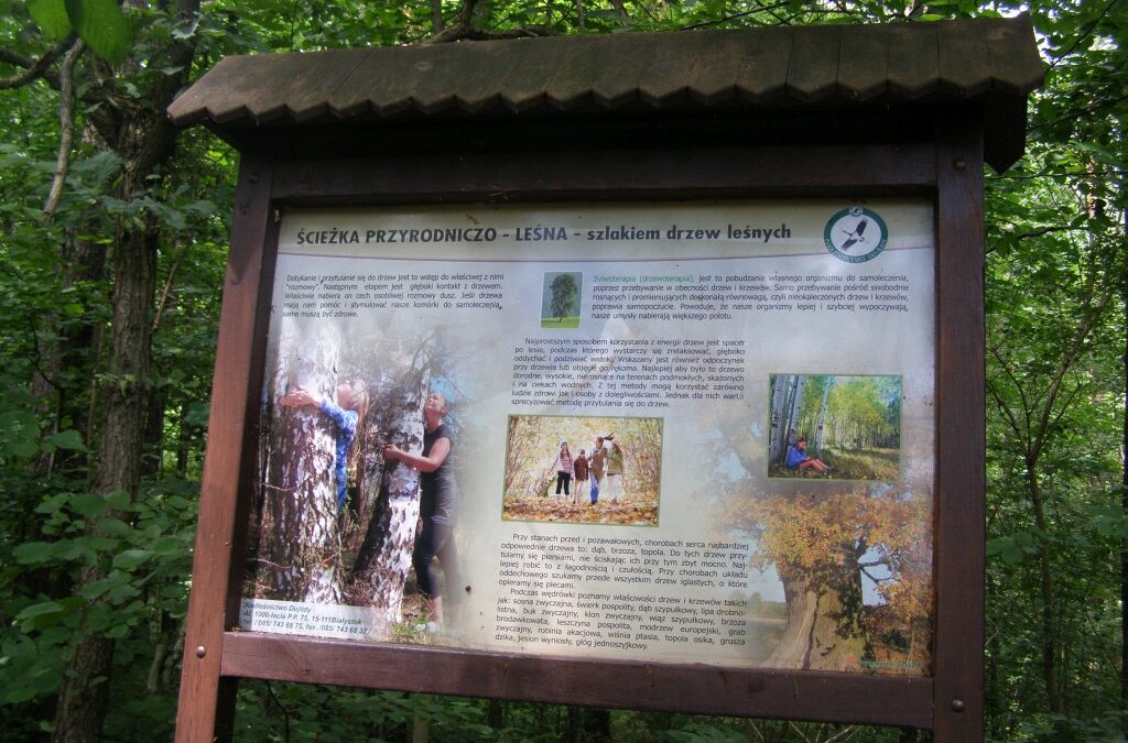 ŚCIEŻKA PRZYRODNICZA SZLAKIEM DRZEW LEŚNYCH W BIAŁYMSTOKU