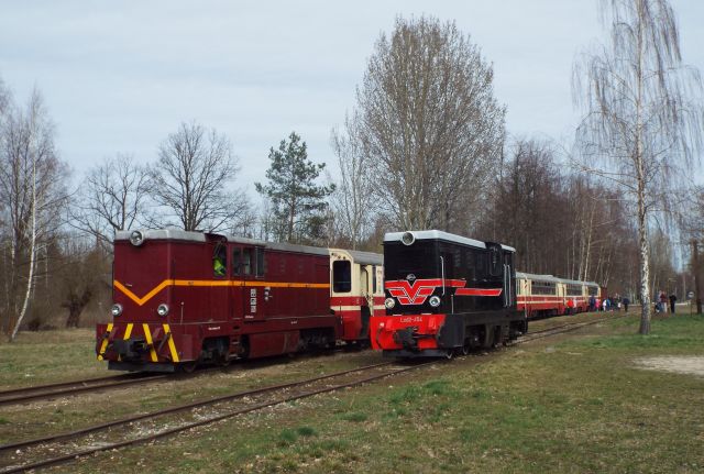 foto_wiosna
