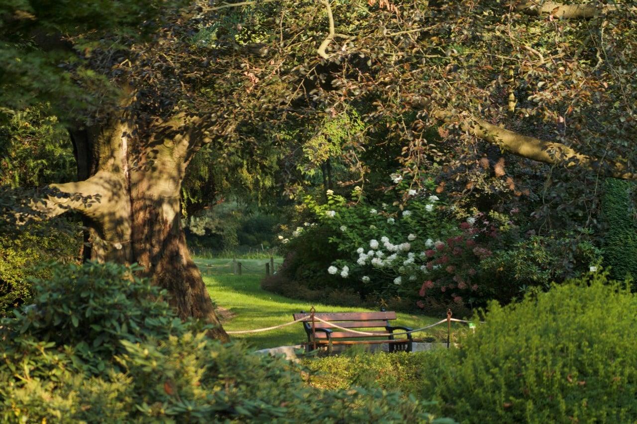 241630207_2563454283798271_8503700093384641256_n