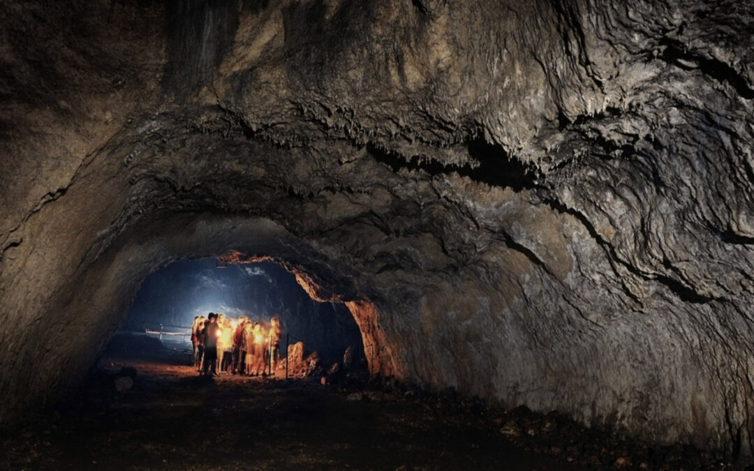 JASKINIA CIEMNA NA JURZE