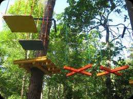 PARK LINOWY BIAŁOGÓRA K. KARWII