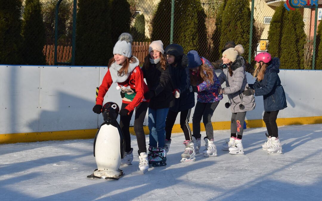 LODOWISKO BIAŁY ORLIK – STRZEGOM