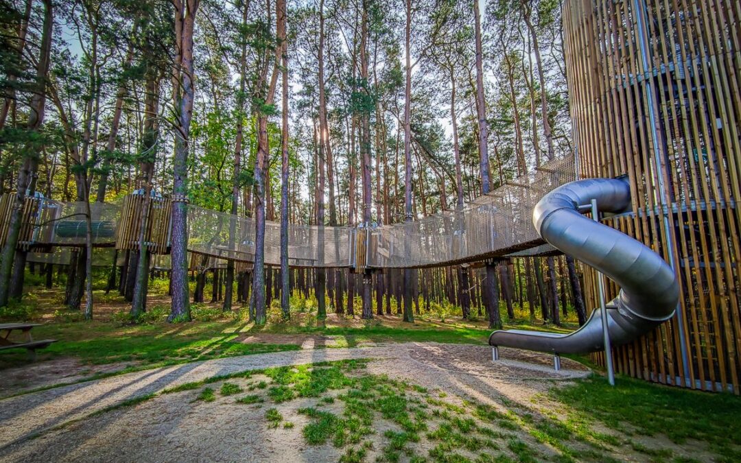 PARK LEŚNY I PLAC ZABAW – LUBIN