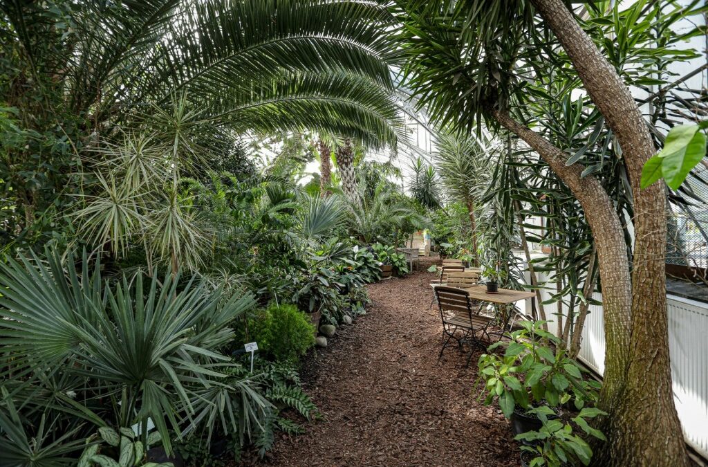 PALMIARNIA W LEGNICY