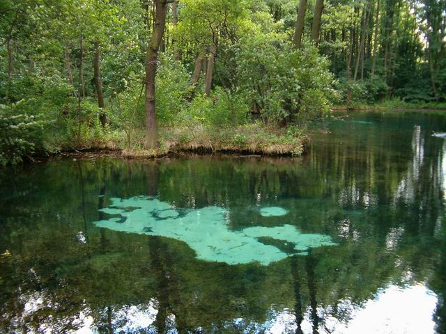 NIEBIESKIE ŹRÓDŁA – TOMASZÓW MAZOWIECKI