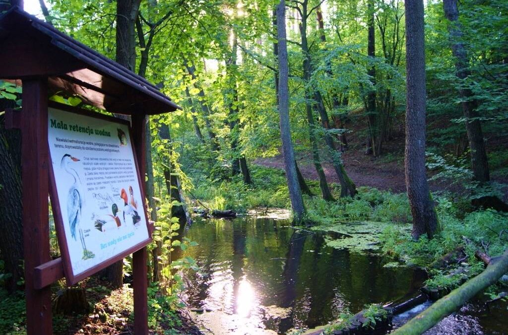 ŚCIEŻKA PRZYRODNICZO-LEŚNA GĄSAWKI